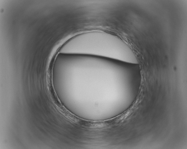 X0000080690342200612150817
