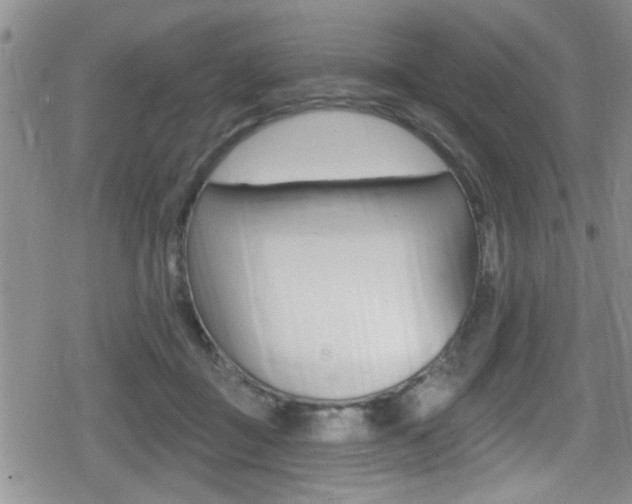 X0000080690363200612150817