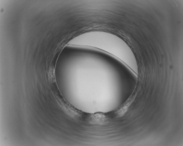 X0000080690429200612150816