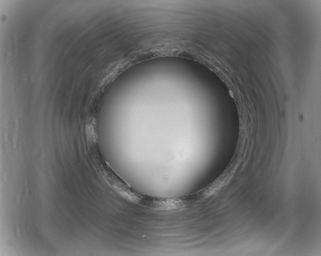 X0000080690432200612150816