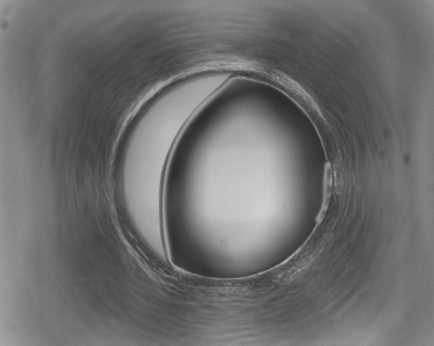 X0000080690436200612150815