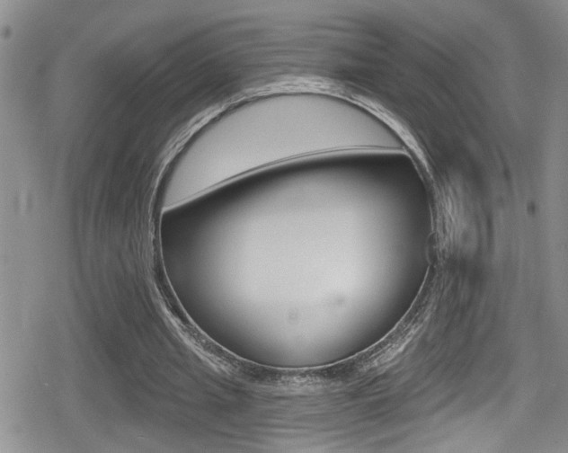 X0000080690437200612150815