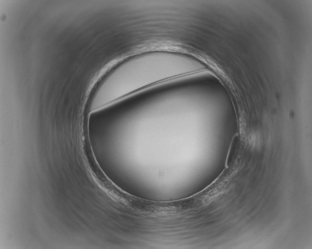 X0000080690438200612150815
