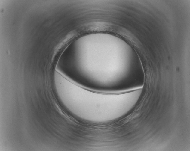 X0000080690446200612150815