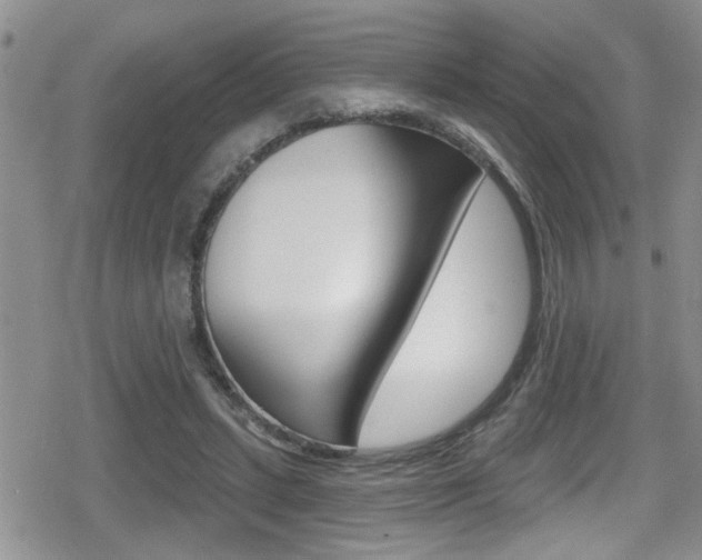 X0000080690447200612150815