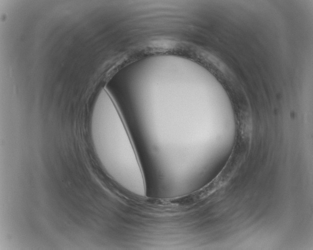X0000080690455200612150815