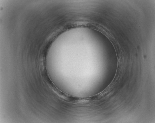 X0000080690462200612150815