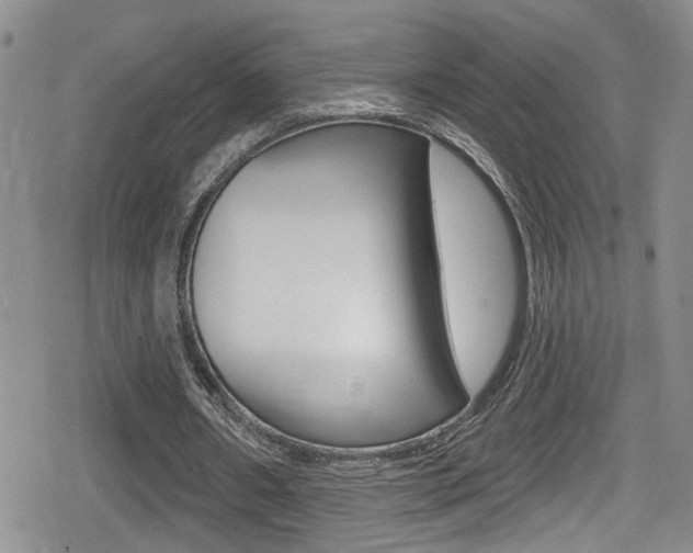 X0000080690482200612150815