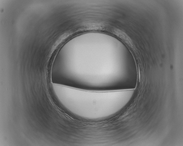 X0000080690483200612150815