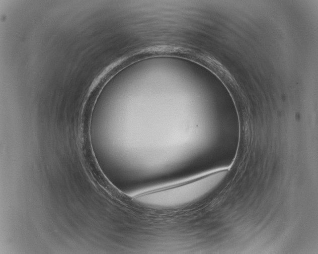 X0000080690484200612150815