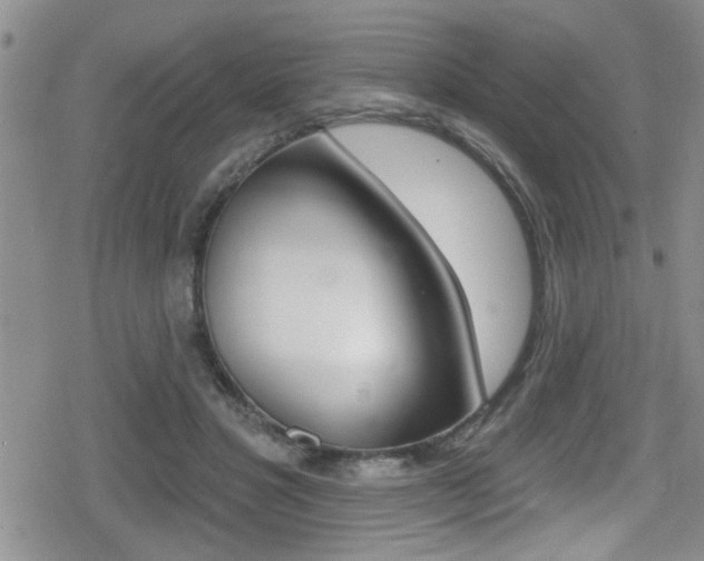 X0000080690501200612150815