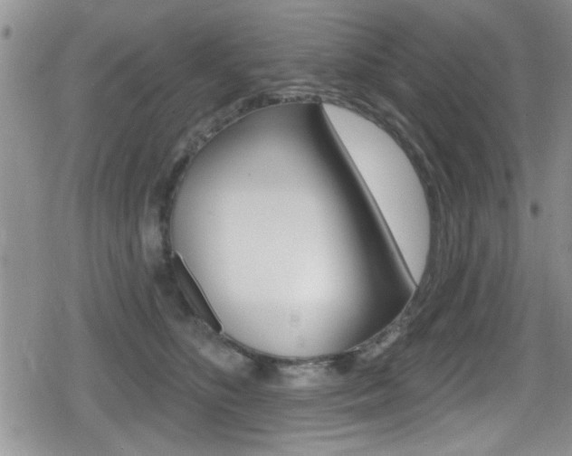 X0000080690516200612150814