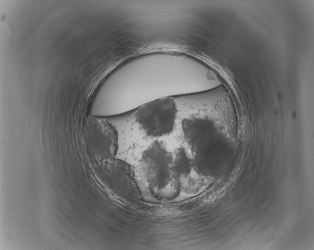 X0000080690529200612150813