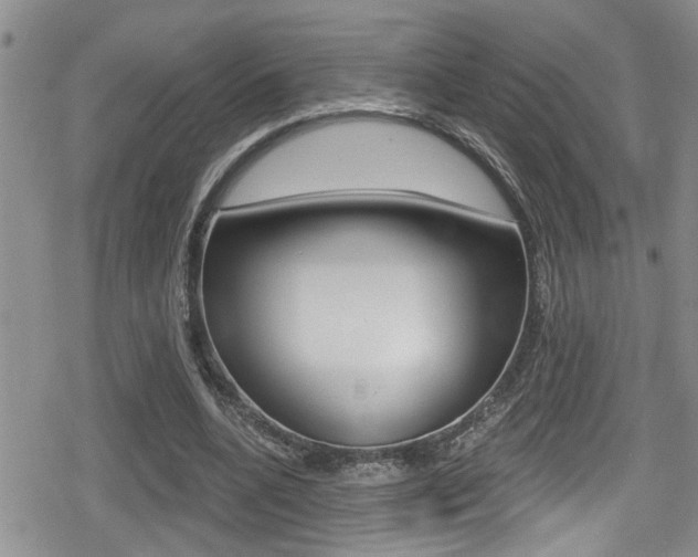 X0000080690536200612150814