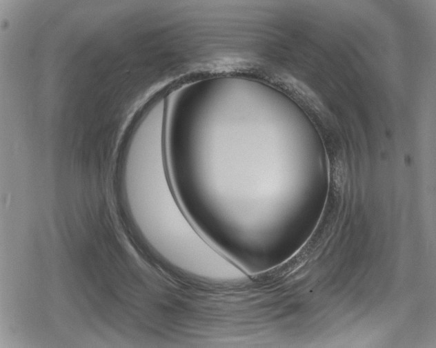 X0000080690540200612150814