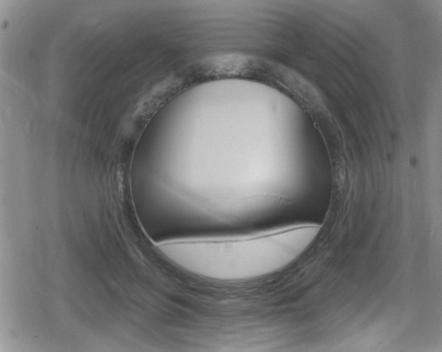 X0000080690551200612150814