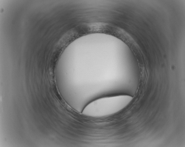 X0000080690557200612150814