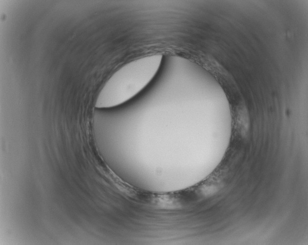X0000080690565200612150814