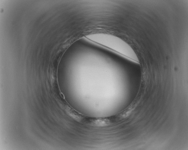 X0000080690566200612150814