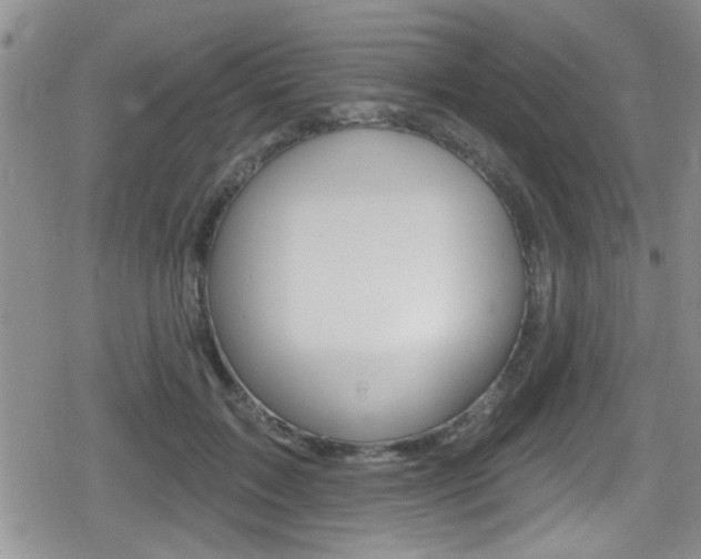 X0000080690603200612150813