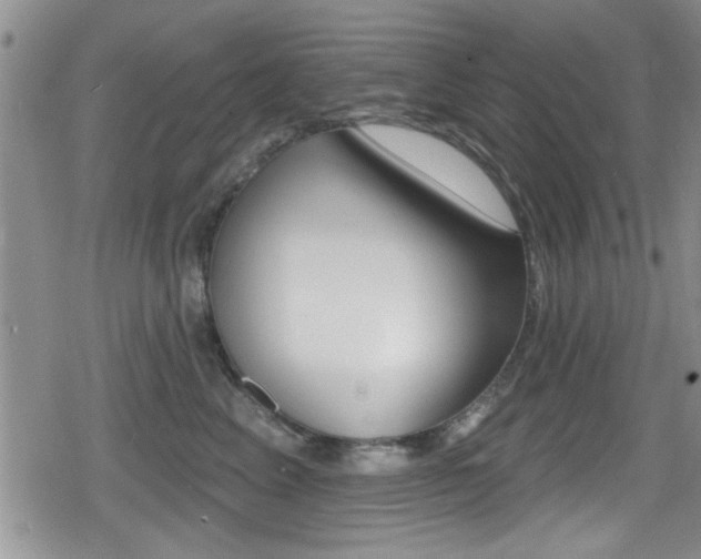 X0000080690617200612150813
