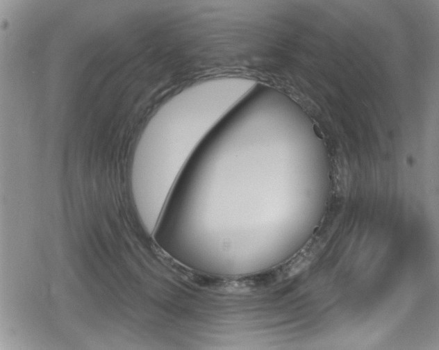 X0000080690656200612150812