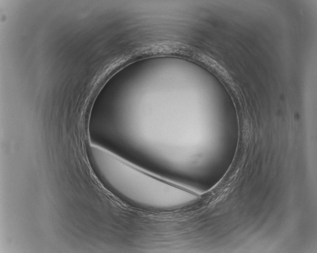 X0000080690673200612150812