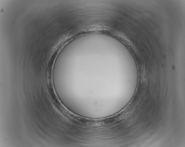 X0000080690683200612150812