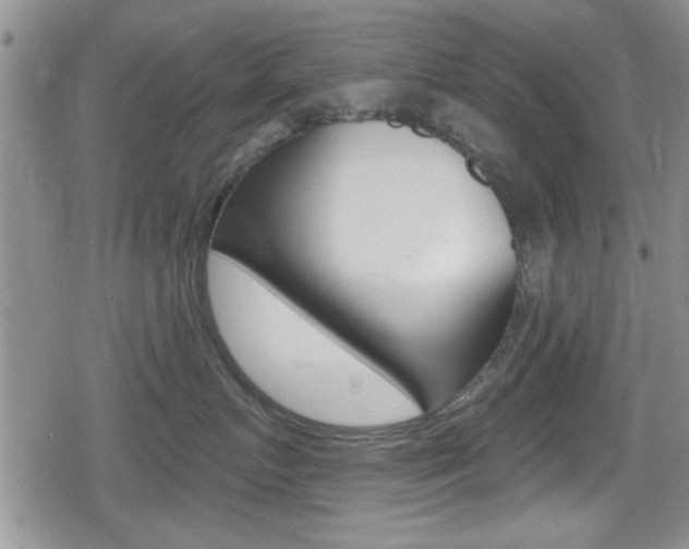 X0000080690719200612150811
