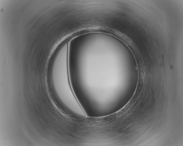 X0000080690728200612150810