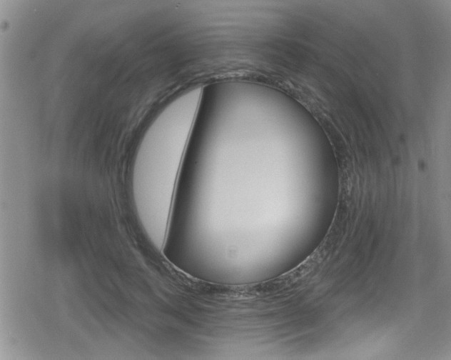 X0000080690743200612150811