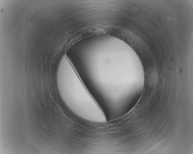 X0000080690747200612150811