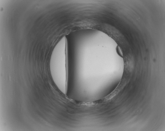 X0000080690767200612150811