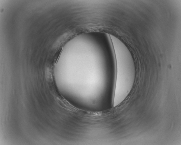 X0000080690768200612150811