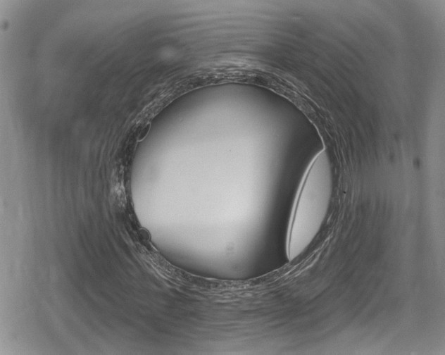 X0000080690771200612150810