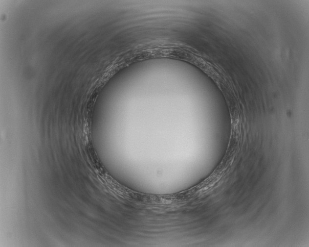 X0000080690772200612150810