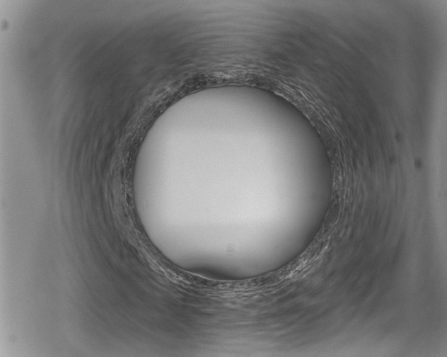 X0000080690817200612150809