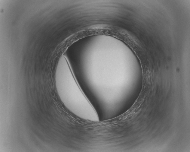 X0000080690821200612150809