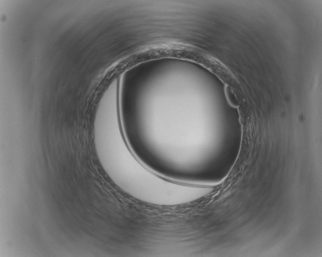 X0000080690822200612150809