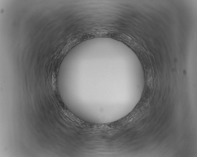 X0000080690866200612150809