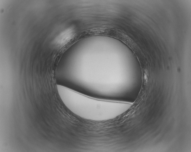 X0000080690867200612150809