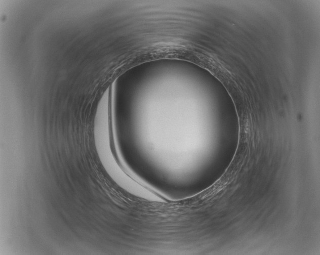 X0000080690868200612150809