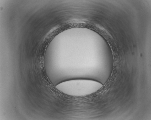 X0000080690870200612150809
