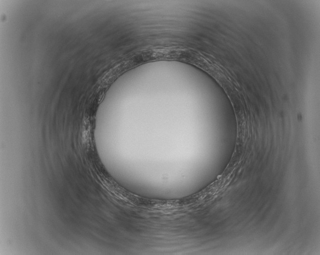 X0000080690914200612150807
