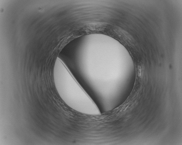 X0000080690915200612150807