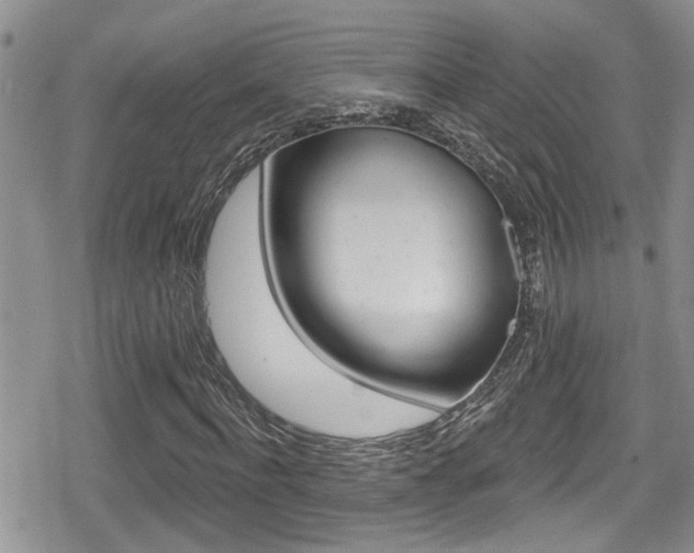 X0000080690916200612150807