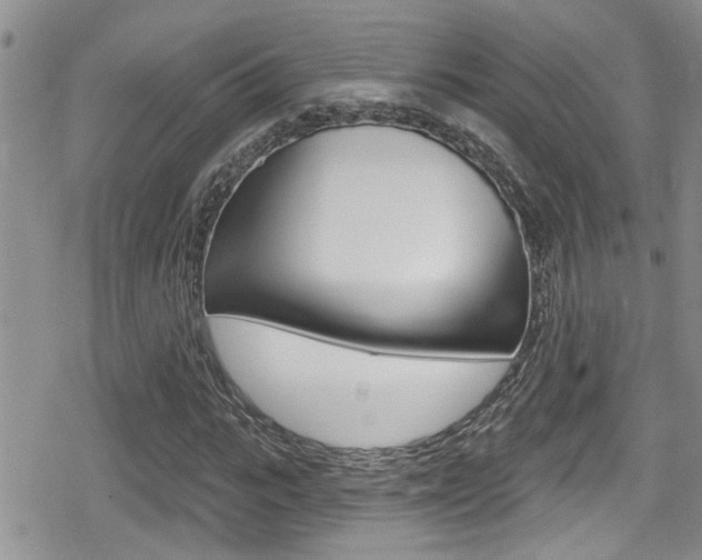 X0000080690919200612150807