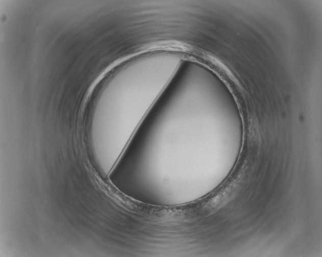 X0000080690923200612150807