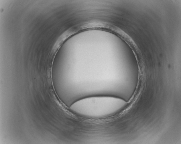 X0000080690937200612150808