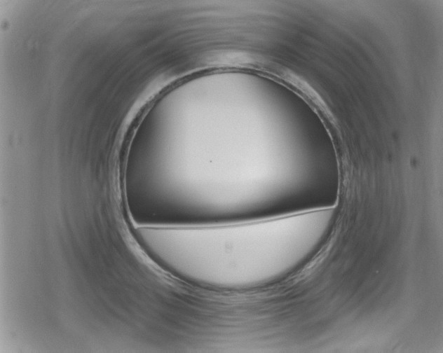 X0000080690939200612150808